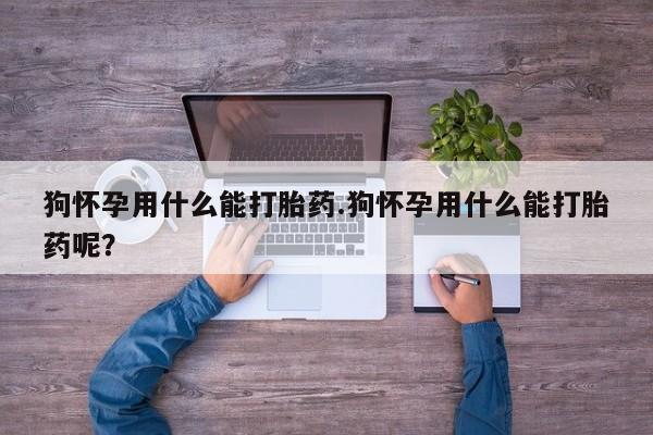 买打胎药米非司酮片流产药微信买狗怀孕用什么能打胎药.狗怀孕用什么能打胎药呢？