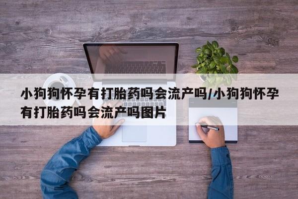 买打胎药米非司酮片流产药微信买小狗狗怀孕有打胎药吗会流产吗/小狗狗怀孕有打胎药吗会流产吗图片