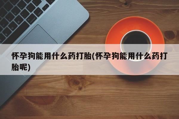 买打胎药米非司酮片流产药微信买怀孕狗能用什么药打胎(怀孕狗能用什么药打胎呢)